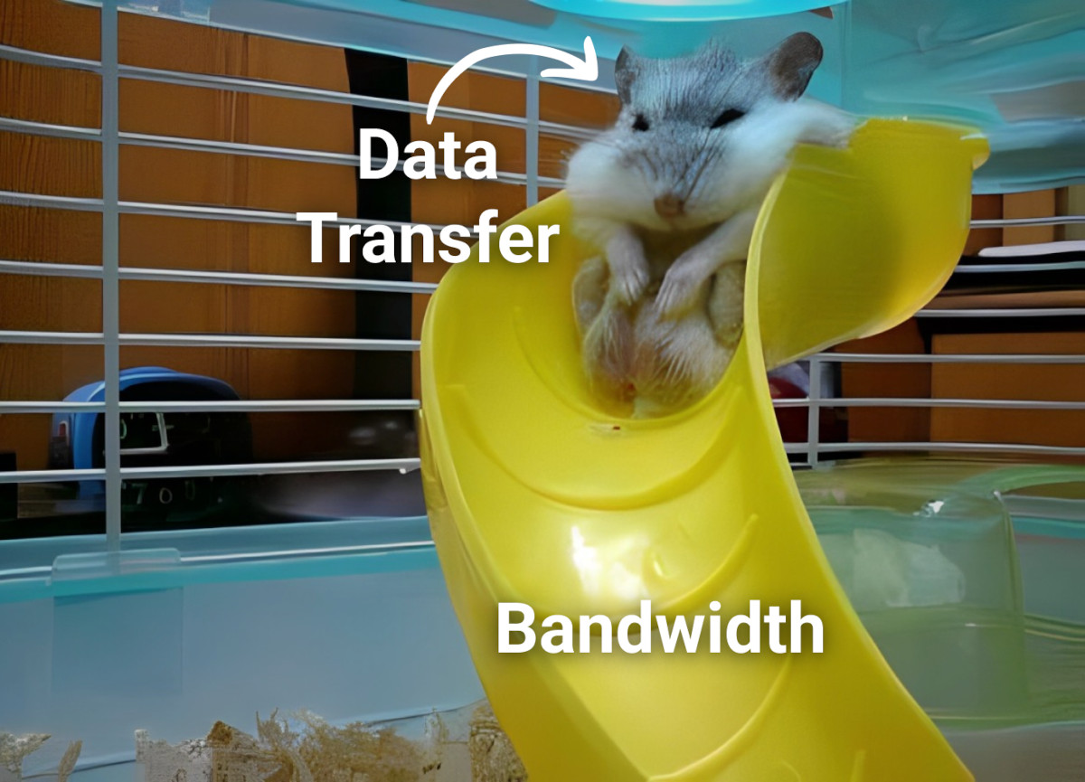 network bandwidth vs. capacity